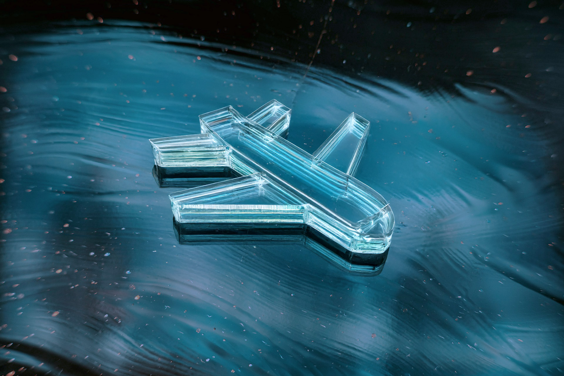 Podróż dookoła świata